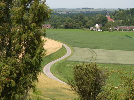 Le Mont Florentin