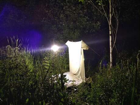Sortie nature : Les Ailes de la nuit