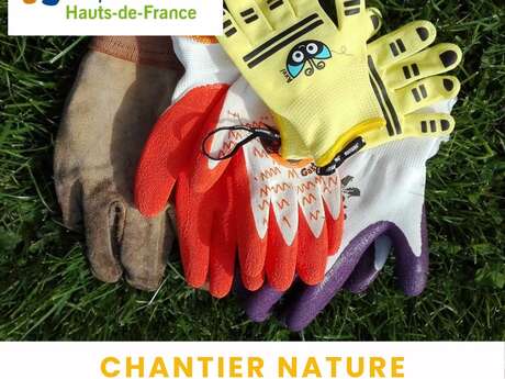 Sortie nature | Chantier nature à Saint-Vaast-lès-Mello