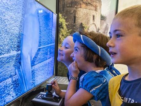 Découverte des chauves-souris