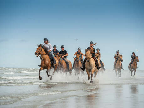 Weekend du cheval