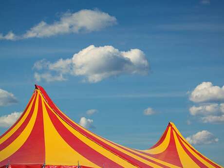 Cirque Roncallini