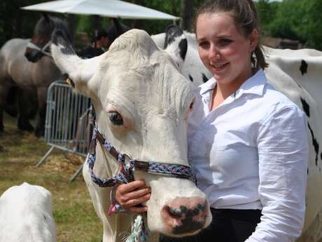 Comice agricole