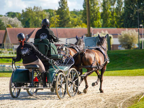 Equitation – concours d'attelage club / poney / amateur