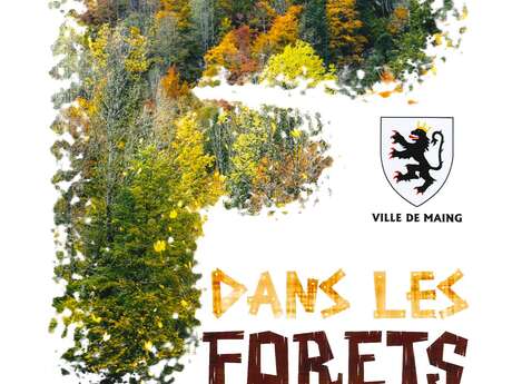 Cinéma "Dans les forêts" à Maing