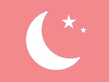 Dreamnight at the Zoo