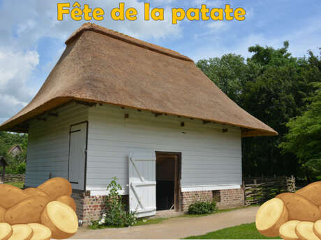 Fête de la patate