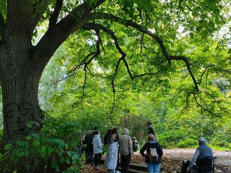 Balade naturaliste : "La gueule de bois"