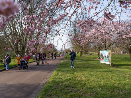 Balade naturalistes : Carnet d’Art, la biodiversité des zones humides
