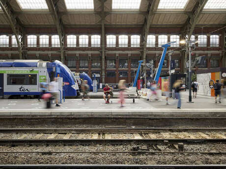 Rame exposition SNCF Voyageurs TER Hauts-de-France