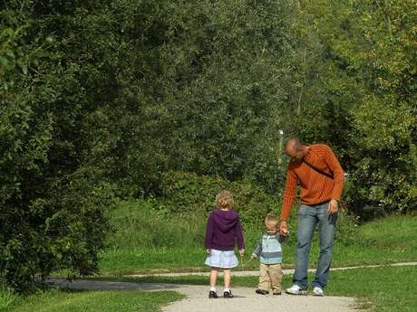 Balade naturaliste : "Les murmures de l’automne : la nature pour les petits rêveurs"