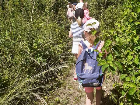 La nature dans l'objectif