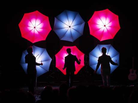 Spectacle "Drum Brothers"