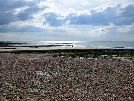 Plage d'Audresselles