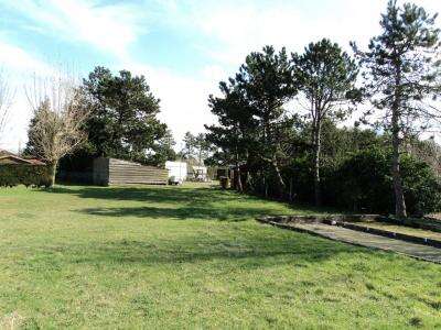 Camping Les Tamaris