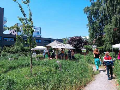 Les rendez-vous au Jardin naturel partagé