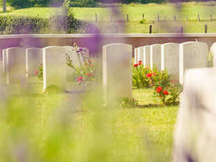 Visite Guidée "Découverte de la Flore du Cimetière militaire de Pheasant Wood"