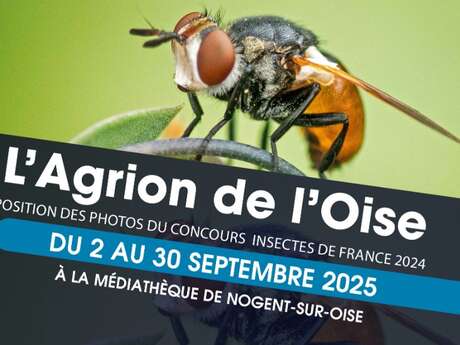 Exposition | Photo du concours  "Insectes de France 2024"