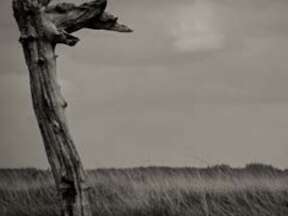 Exposition photos "Ombres de vie, ombres d'acier" à Valenciennes