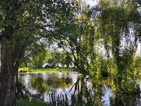 Jardin d'eau et de poésie