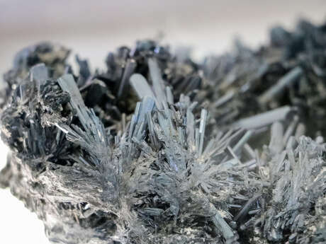 Les petits labos du Musée - Les cristaux / Bois-Blancs