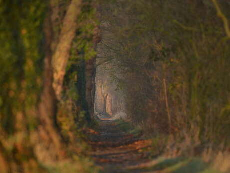 Rallye "Nature, fais-moi peur"