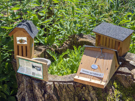 Offrez un refuge aux oiseaux