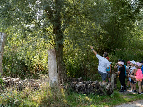 Balade naturaliste : une nature à (dé)peindre