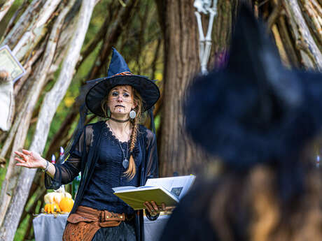 Balade naturaliste : "Le marais comme vous ne l’avez jamais vu"