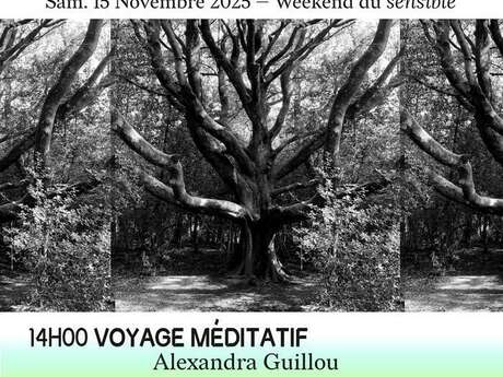 Voyage Méditatif - Alexandra Guillou