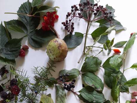 Les balades de l'été : en haut, en bas, jouons dans les bois