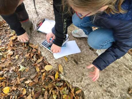 Petits naturalistes : à la découverte du bois des Guillemins