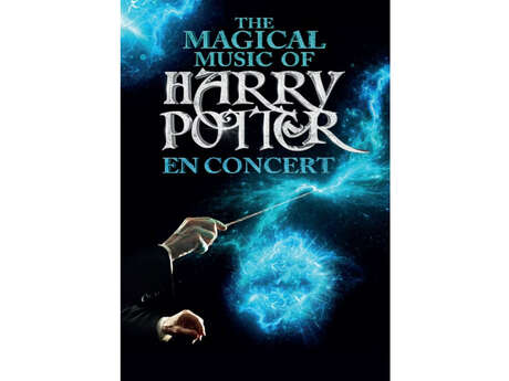 The magical music of harry potter