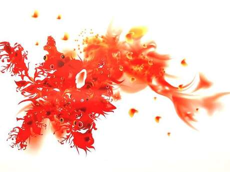 Ici & là : exposition de david delenclos