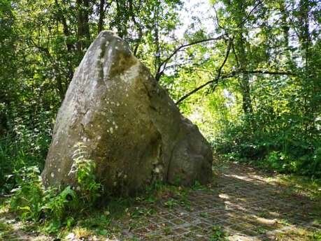 La pierre qui pousse