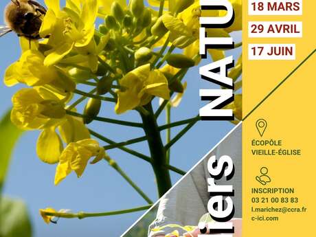 La haie champêtre et ses locataires !