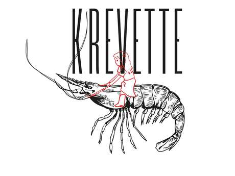 Krevette