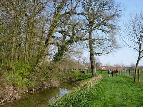Rendez-vous Nature : Les chemins de l'eau