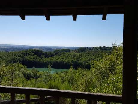 Rendez-vous Nature : Défilé d'insectes