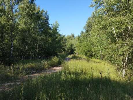 Les Rendez-vous Nature: la biodiversité du Lac Bleu