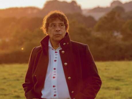 Concert : Laurent Voulzy