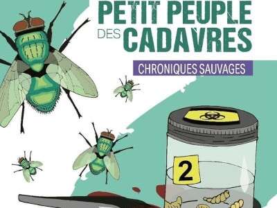 Conférence "Le petit peuple des cadavres" à Valenciennes