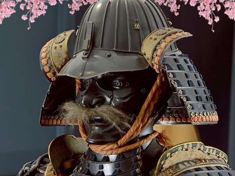 Le printemps des samouraïs