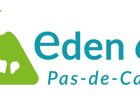 Eden 62 - dunes de la slack et pointes aux oies - promenade canine