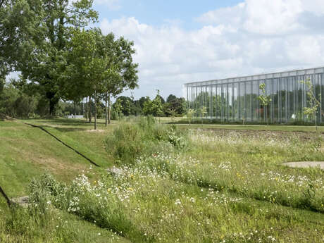 Parc du Louvre-Lens