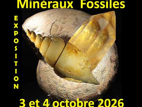 49ème Bourse Minéraux & Fossiles