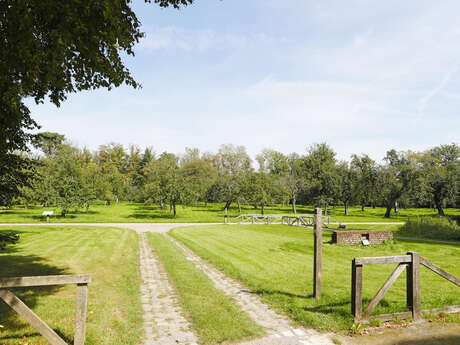 Parc de l'Abbaye de Liessies