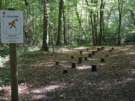 Bois Magneux et de Fau Timon