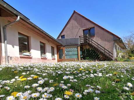 Centre d'Education Nature du Houtland