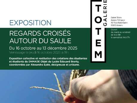 Exposition : Regards croisés autour du saule